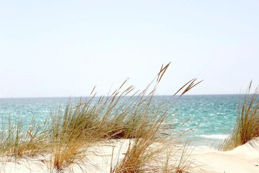 Shoreline of Indiana Dunes. Destinations for moms' trip.