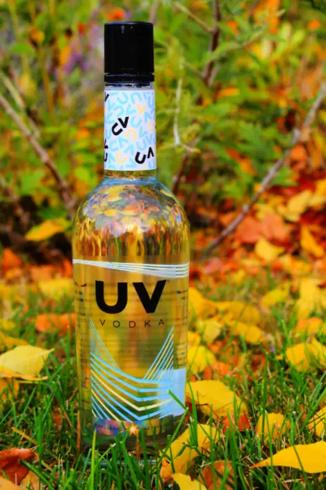 Vodka bottle sitting in grass and leaves.